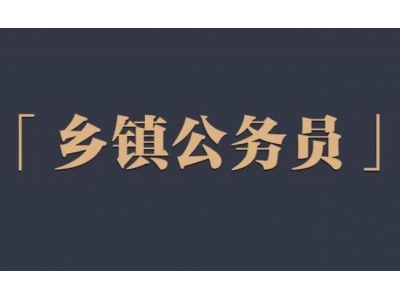 鄉(xiāng)鎮(zhèn)公務員待遇？